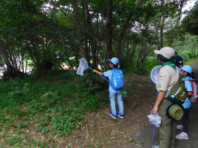 日野２団ビーバー隊活動写真その18