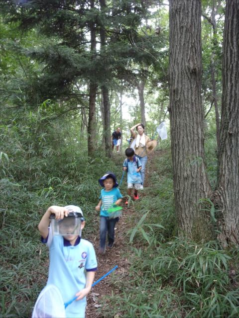 日野２団ビーバー隊活動写真その29