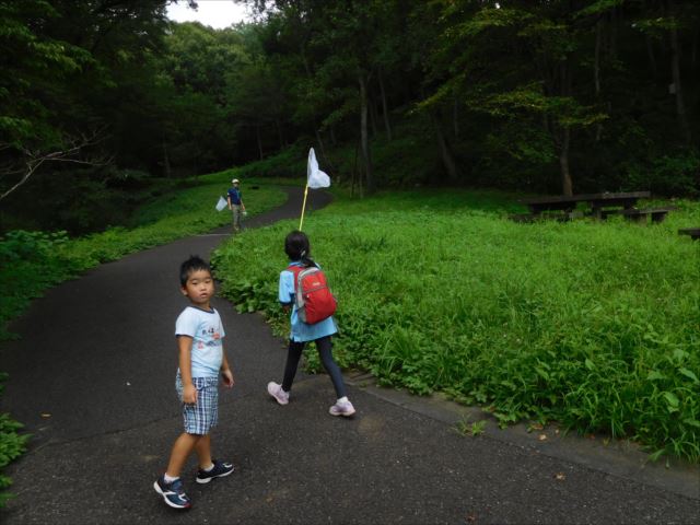 日野２団ビーバー隊活動写真その33