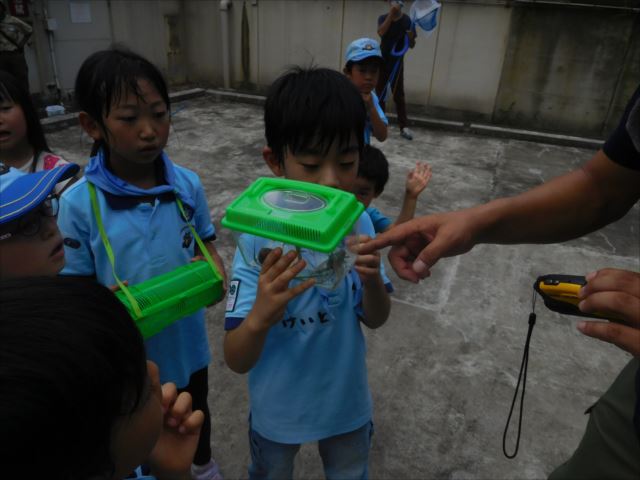 日野２団ビーバー隊活動写真その41