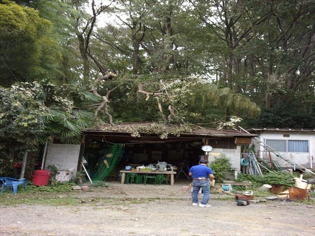 日野２団ビーバー隊活動写真その5