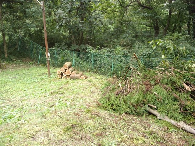 日野２団ビーバー隊活動写真その10