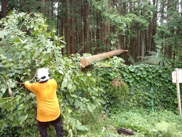 日野２団ビーバー隊活動写真その11