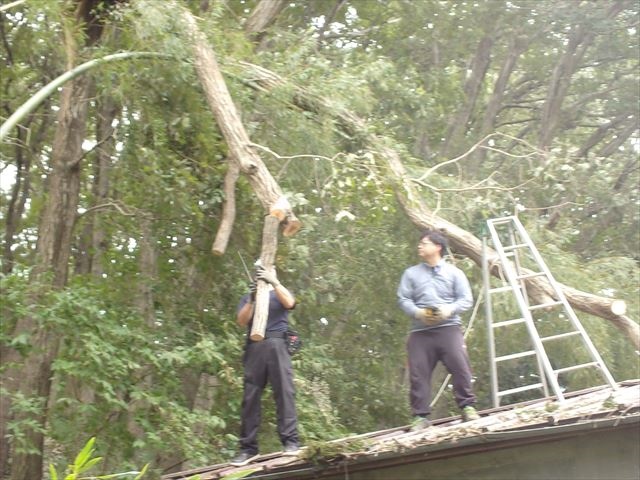 日野２団ビーバー隊活動写真その16