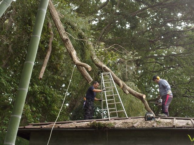 日野２団ビーバー隊活動写真その24