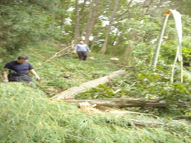 日野２団ビーバー隊活動写真その27