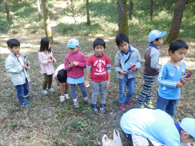 日野２団ビーバー隊活動写真その11