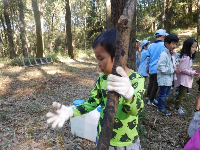 日野２団ビーバー隊活動写真その15