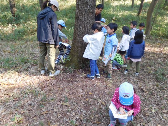 日野２団ビーバー隊活動写真その58