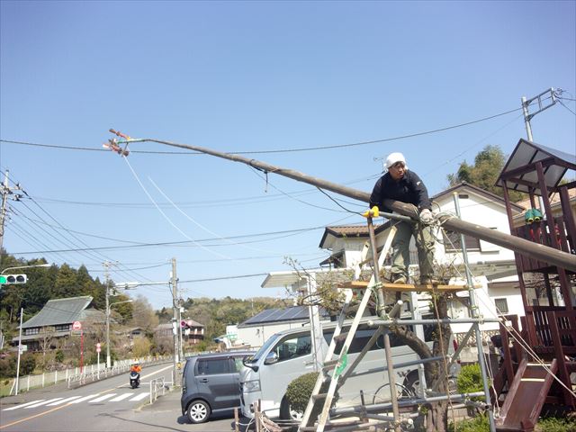 日野２団ビーバー隊活動写真その8