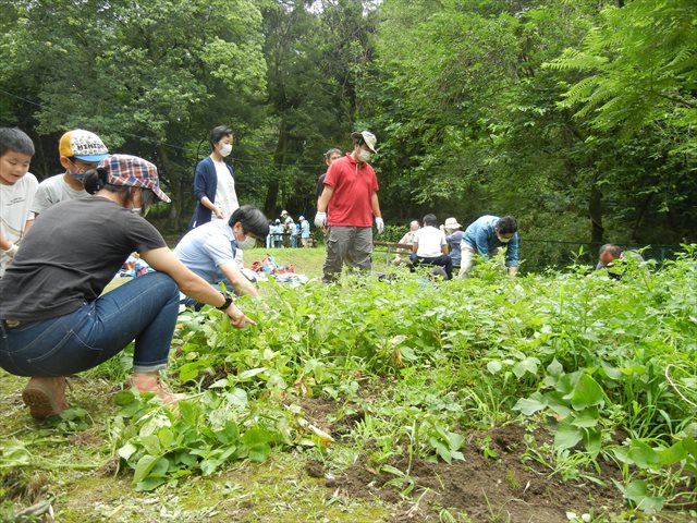 日野２団ビーバー隊活動写真その18