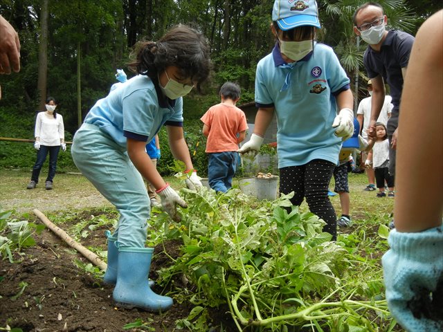 日野２団ビーバー隊活動写真その23