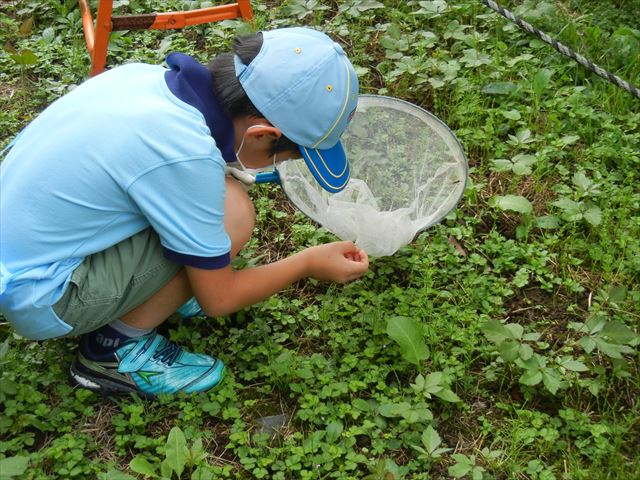 日野２団ビーバー隊活動写真その16