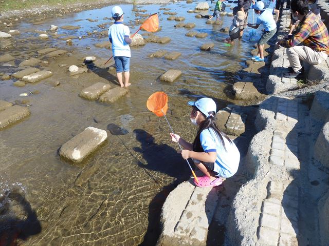 日野２団ビーバー隊活動写真その6