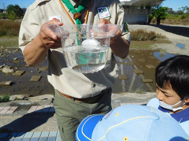 日野２団ビーバー隊活動写真その38