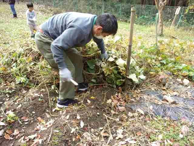 日野２団ビーバー隊活動写真その15