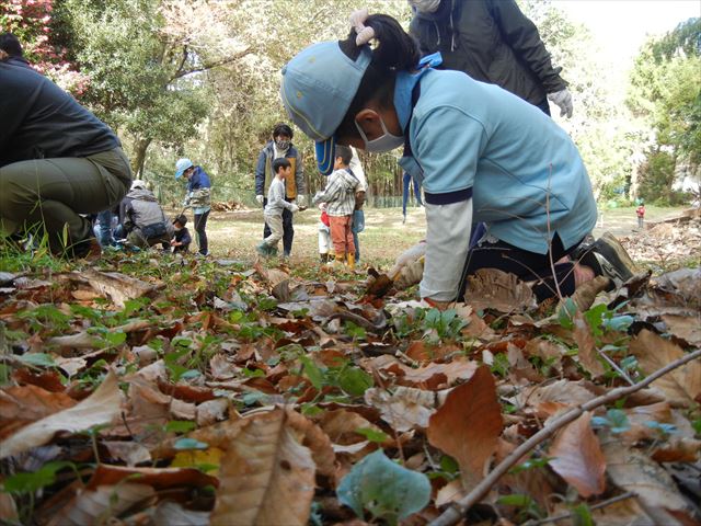 日野２団ビーバー隊活動写真その24