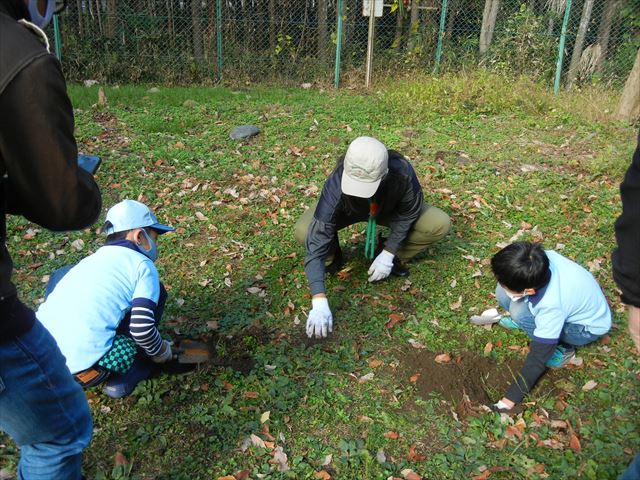 日野２団ビーバー隊活動写真その32