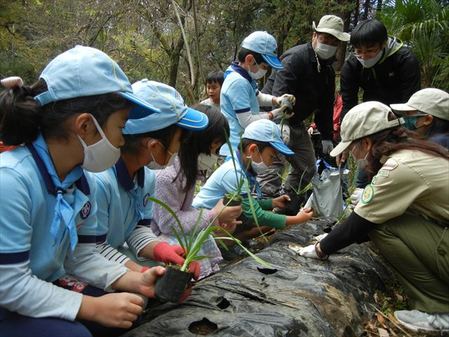 日野２団ビーバー隊活動写真その61