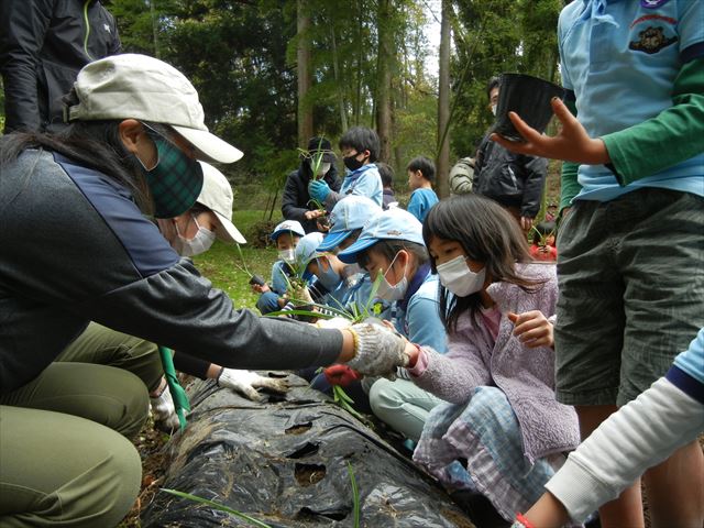 日野２団ビーバー隊活動写真その62