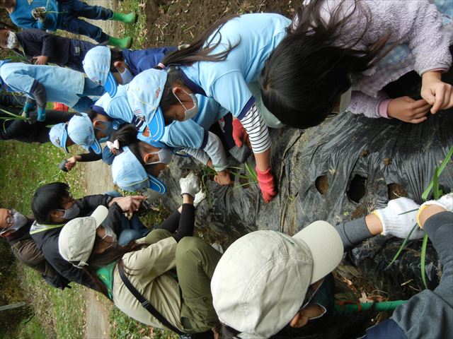 日野２団ビーバー隊活動写真その63