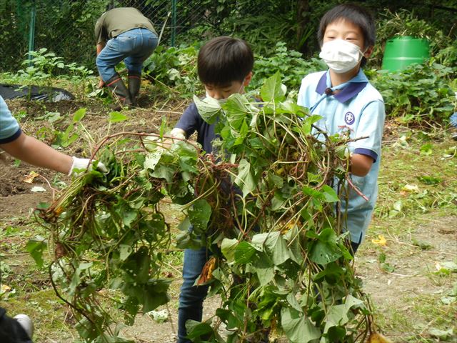 日野２団ビーバー隊活動写真その19