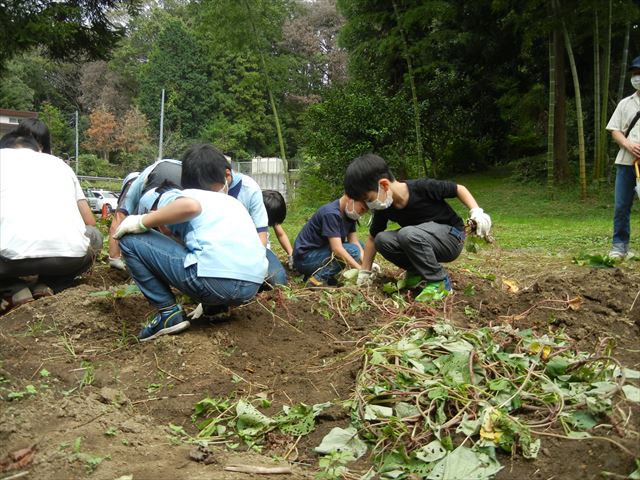 日野２団ビーバー隊活動写真その22