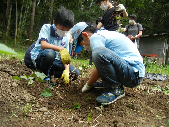 日野２団ビーバー隊活動写真その23