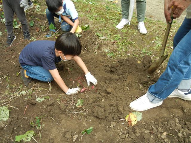 日野２団ビーバー隊活動写真その25