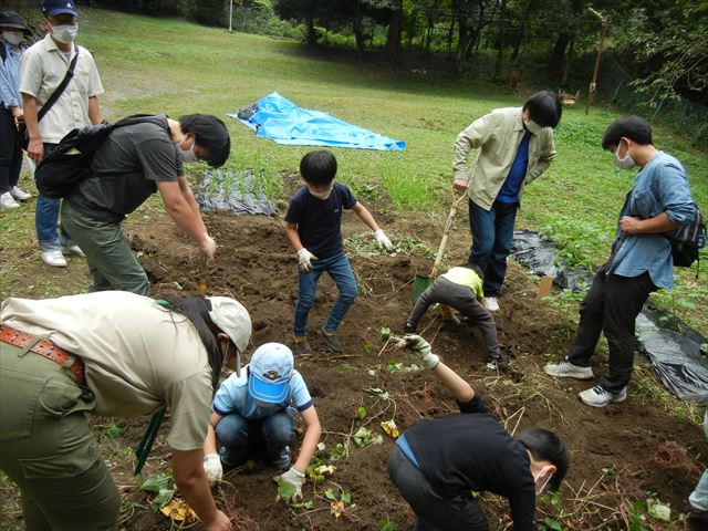 日野２団ビーバー隊活動写真その31