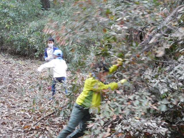 日野２団ビーバー隊活動写真その6