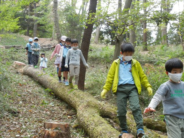 日野２団ビーバー隊活動写真その22