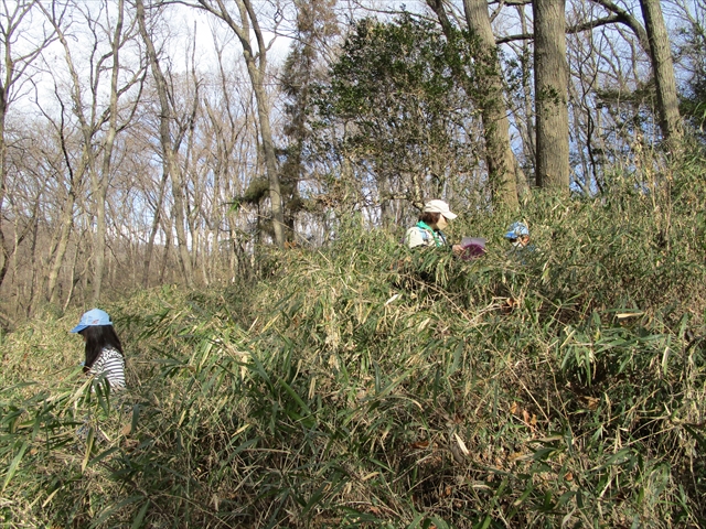 日野２団ビーバー隊活動写真その22