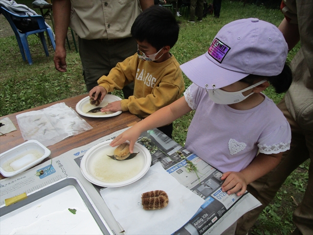 日野２団ビーバー隊活動写真その20