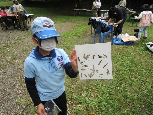 日野２団ビーバー隊活動写真その39