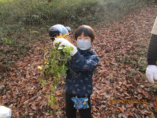 日野２団ビーバー隊活動写真その12