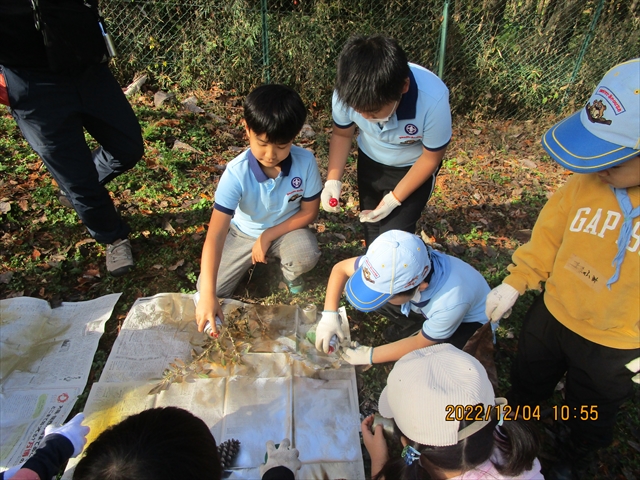 日野２団ビーバー隊活動写真その18