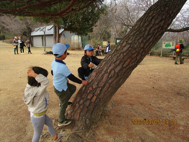 日野２団ビーバー隊活動写真その11