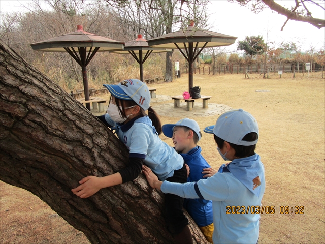 日野２団ビーバー隊活動写真その20