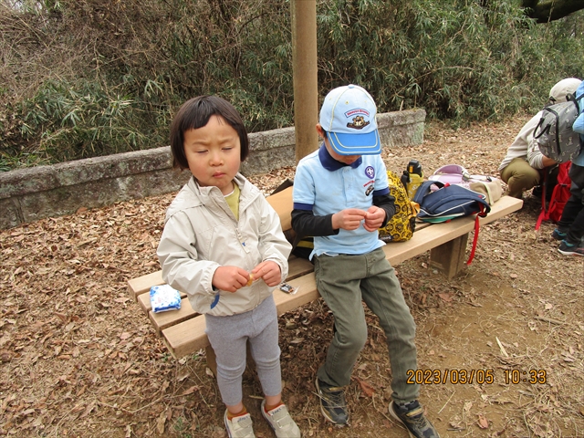 日野２団ビーバー隊活動写真その32