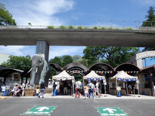 日野２団ビーバー隊活動写真その1