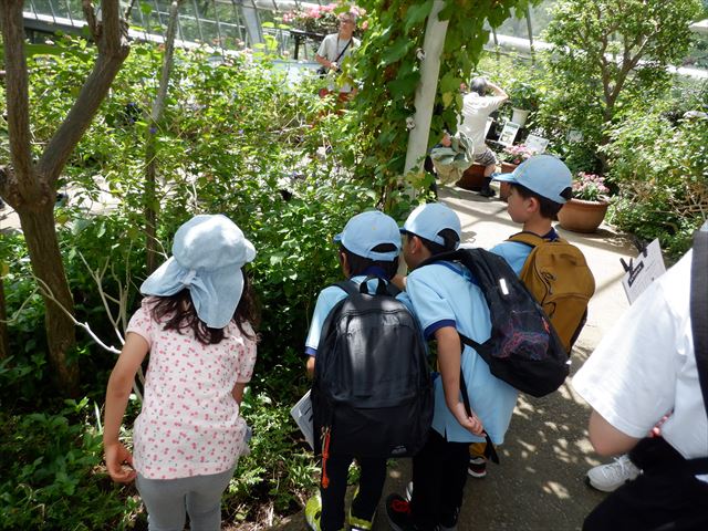 日野２団ビーバー隊活動写真その14