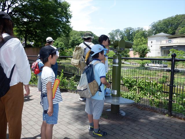 日野２団ビーバー隊活動写真その22