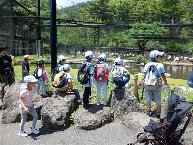 日野２団ビーバー隊活動写真その24