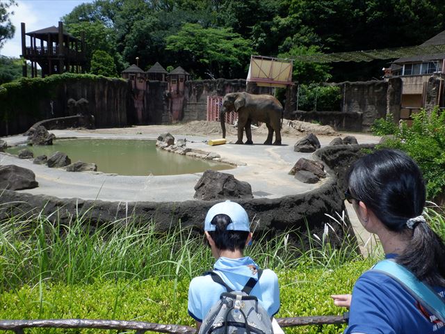 日野２団ビーバー隊活動写真その25