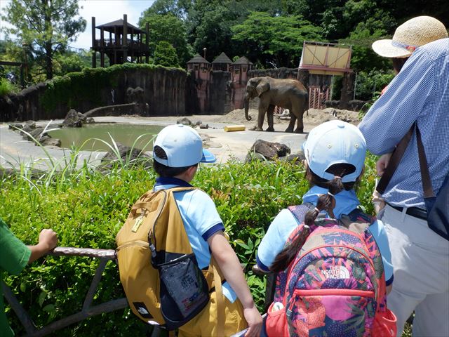 日野２団ビーバー隊活動写真その26