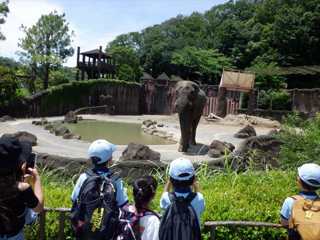 日野２団ビーバー隊活動写真その27