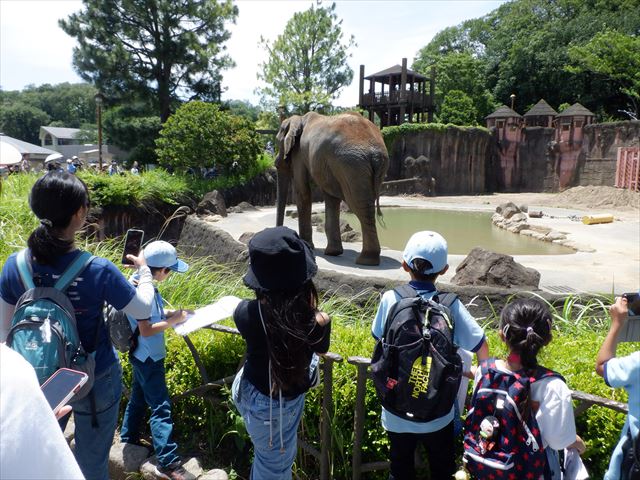 日野２団ビーバー隊活動写真その28