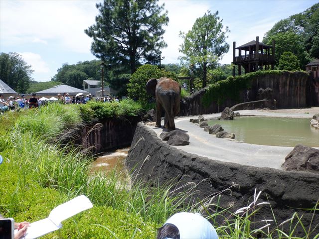 日野２団ビーバー隊活動写真その29