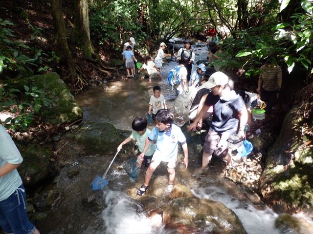 日野２団ビーバー隊活動写真その7